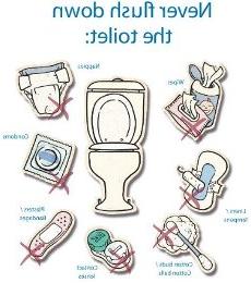 never flush these items down the toilet